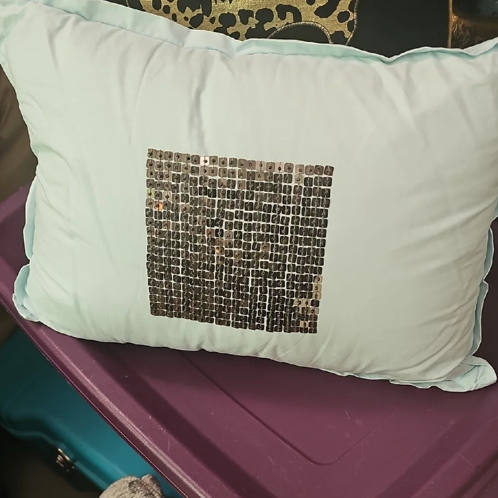 Brand New Robin's Egg Blue And Gunmetal Sequin Accent Pillow 17